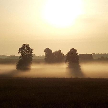 Ein Bett Im Kornfeld - Haus Weitblick - Mit Innenpool Schonfeld  Exterior foto